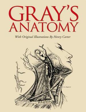 Gray's Anatomy: Slip-Case Edition by Henry Gray