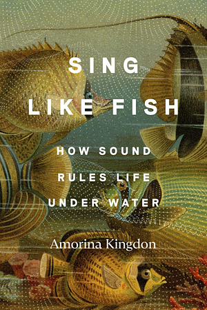 Sing Like Fish by Amorina Kingdon