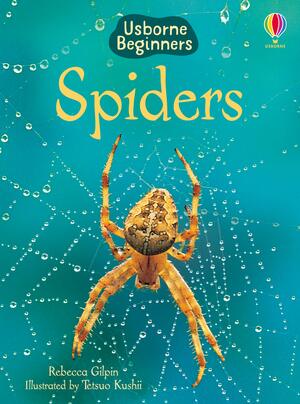 Spiders by Rebecca Gilpin