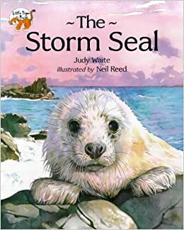 The Storm Seal by Judy Waite