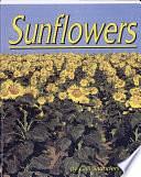 Sunflowers by Gail Saunders-Smith