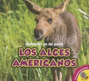 Los Alces Americanos by Aaron Carr