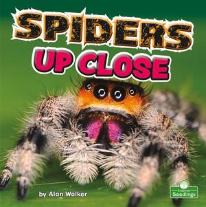 Spiders Up Close by Alan Walker