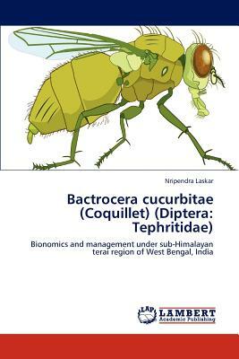 Bactrocera Cucurbitae (Coquillet) (Diptera: Tephritidae) by Nripendra Laskar