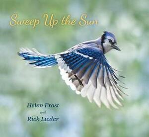 Sweep Up the Sun by Helen Frost, Rick Lieder