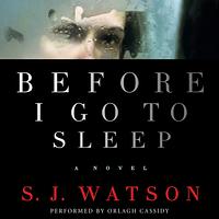 Before I Go to Sleep by S.J. Watson