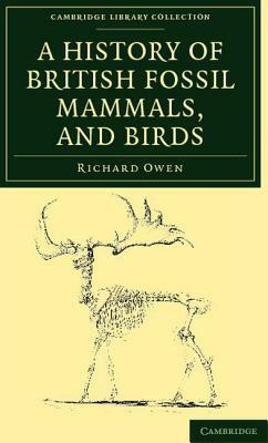 A History of British Fossil Mammals, and Birds by Richard Owen