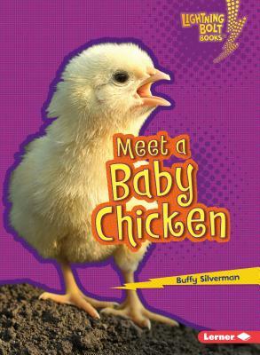 Meet a Baby Chicken by Buffy Silverman