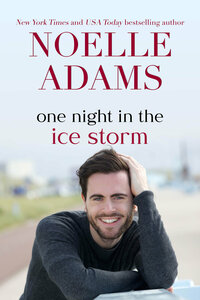 One Night in the Ice Storm by Noelle Adams