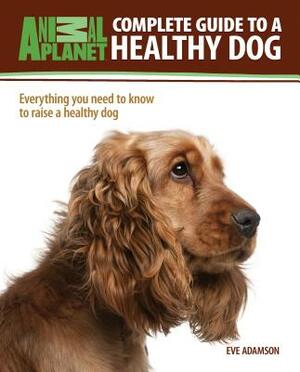 Complete Guide to a Healthy Dog by Eve Adamson