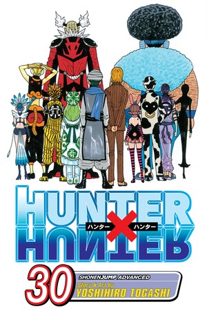 Hunter x Hunter, Vol. 30: Answer by Yoshihiro Togashi
