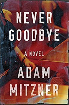 Never Goodbye by Adam Mitzner