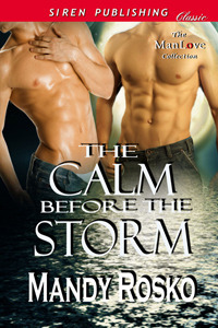 The Calm Before the Storm by Mandy Rosko