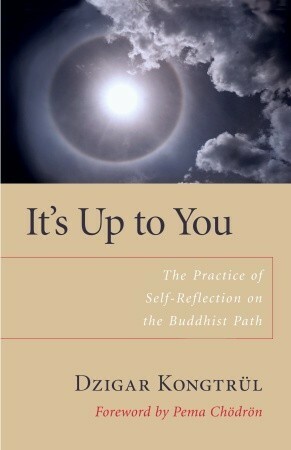 It's Up to You: The Practice of Self-Reflection on the Buddhist Path by Pema Chödrön, Matthew Ricard, Dzigar Kongtrül III, Helen Berliner