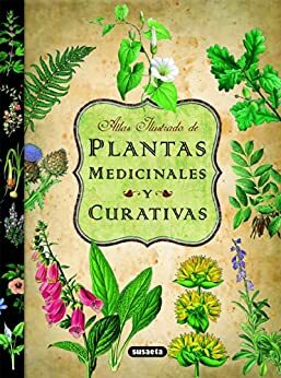 Plantas Medicinales Y Curativas by Equipo Susaeta