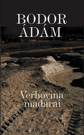 Verhovina madarai by Ádám Bodor