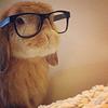 priss's profile picture