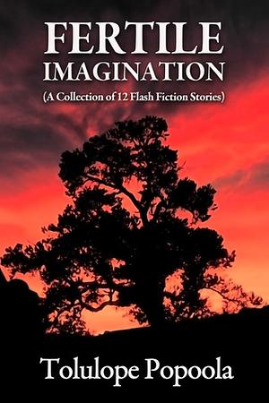 Fertile Imagination: A Collection of 12 Flash Fiction Stories by Tolulope Popoola