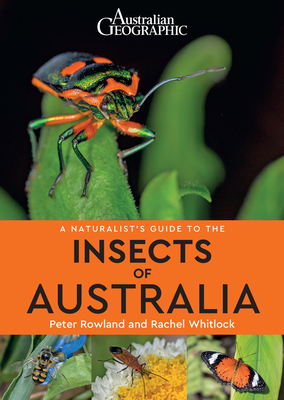 A Naturalist's Guide to Insects of Australia by Rachel Whitlock, Peter Rowland