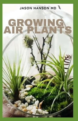 Growing Air Plants: Everything You Need To Know About Growing Air Plants by Jason Hanson