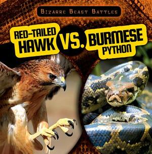 Red-Tailed Hawk vs. Burmese Python by Theresa Morlock