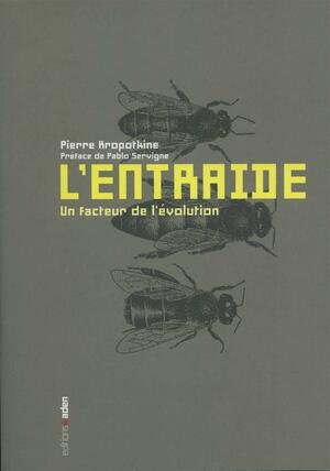 L' entraide: un facteur de l'évolution by Peter Kropotkin