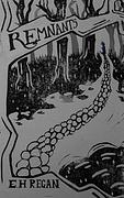 Remnants