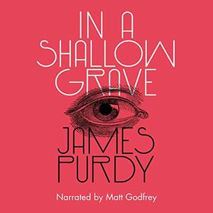 In a Shallow Grave by James Purdy