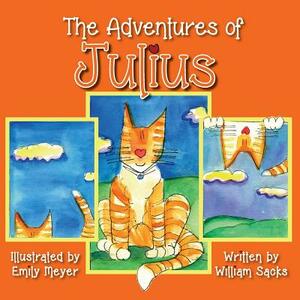 The Adventures of Julius by William Sacks