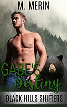 Gabe's Destiny by M. Merin