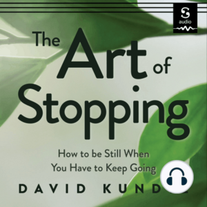 The Art of Stopping: How to Be Still When You Have to Keep Going by David Kundtz