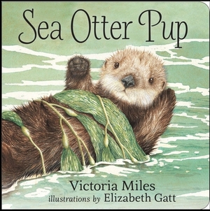 Sea Otter Pup by Victoria Miles