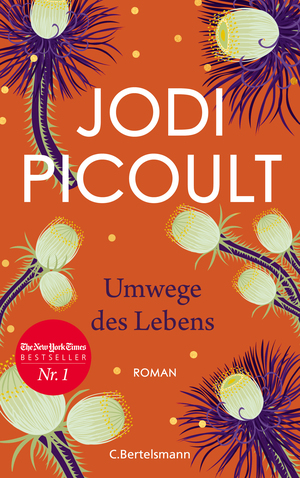 Umwege des Lebens by Jodi Picoult