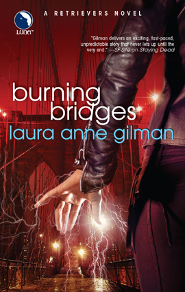 Burning Bridges by Laura Anne Gilman