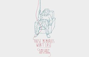 These Memories Won't Last by Stu Campbell