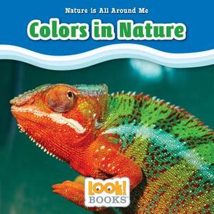 Colors in Nature by Jennifer Marino Walters