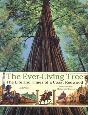 The Ever-Living Tree: The Life and Times of a Coast Redwood by Linda Vieira, Christopher Canyon