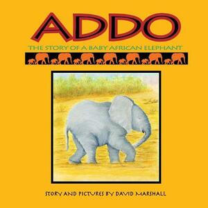 Addo: The Story Of A Baby African Elephant by David Marshall
