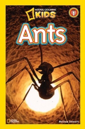 Ants by Melissa Stewart, National Geographic Kids