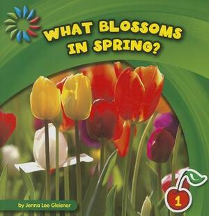 What Blossoms in Spring? by Jenna Lee Gleisner