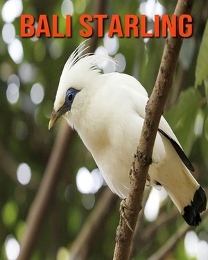 Bali Starling: Learn About Bali Starling and Enjoy Colorful Pictures by Diane Jackson