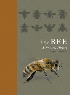 The Bee: A Natural History by Norman Carreck, Kelly Allin, Noah Wilson-Rich, Andrea Quigley