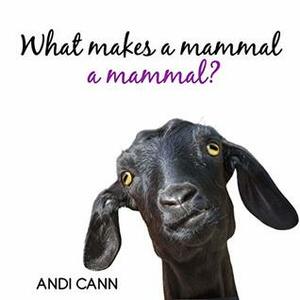 What Makes a Mammal a Mammal? by Andi Cann