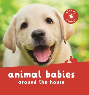 Animal Babies Around the House by Kingfisher Books