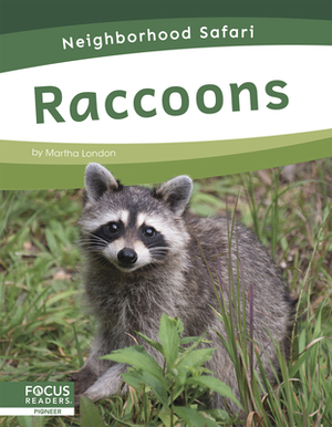 Raccoons by Martha London