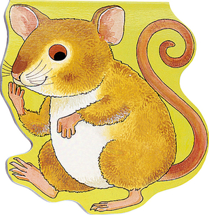 Pocket Mouse by 