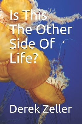 Is This The Other Side Of Life?: Derek Zeller by Derek Zeller