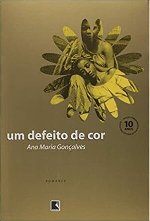 Um Defeito de Cor by Ana Maria Gonçalves