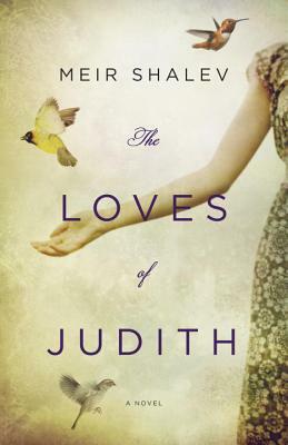 Loves of Judith by Meir Shalev
