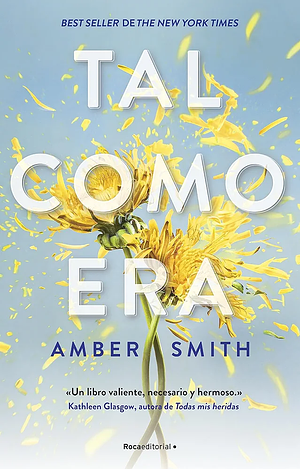 Tal Como Era / The Way I Used to Be by Amber Smith, Rosa Sanz